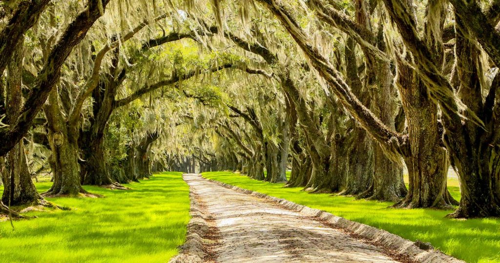 Driving to our Beaufort B&B