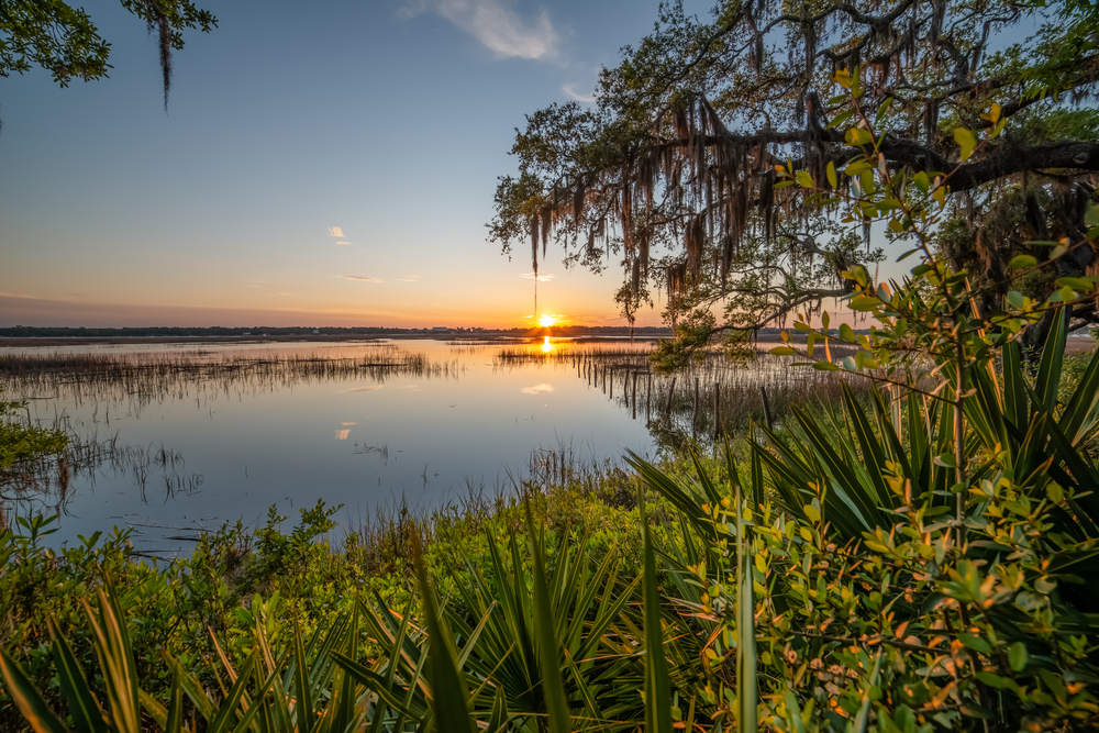 Spanish Moss Trail for hiking and biking in Beaufort SC