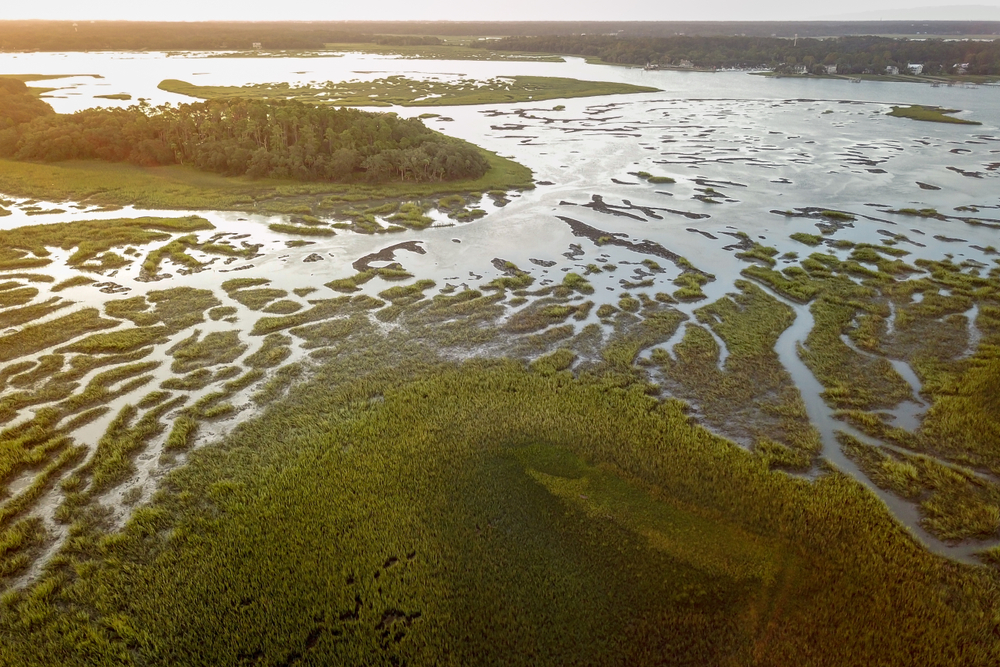 If you've never been to the South Carolina Islands in Lowcounty near Beaufort, today is the day to start planning. Here's your guide!