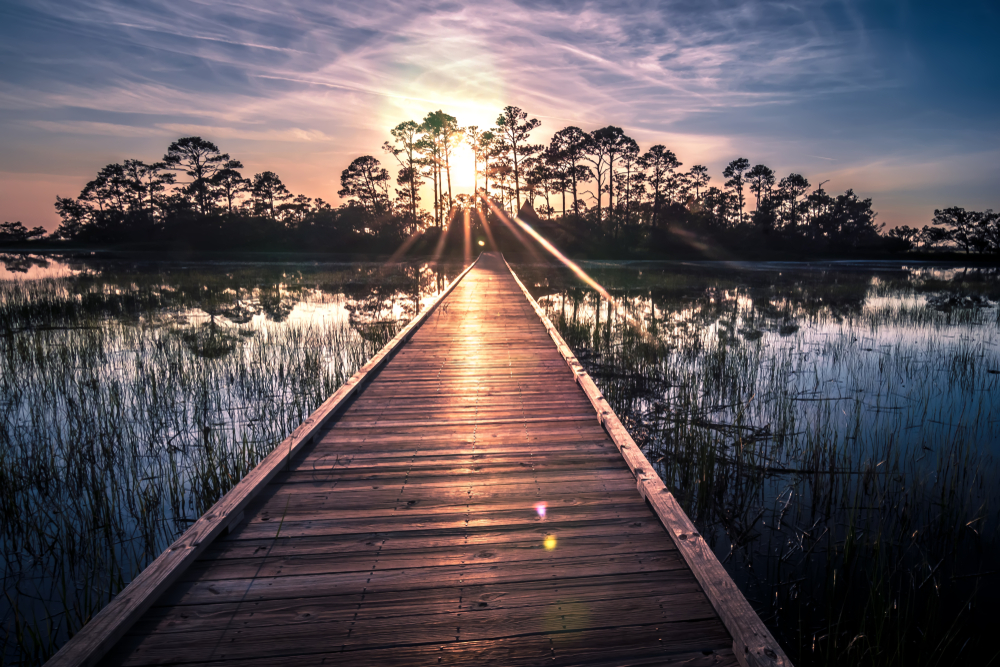 Plan a Stop at the Hunting Island Lighthouse/More things to do at Hunting Island State Park