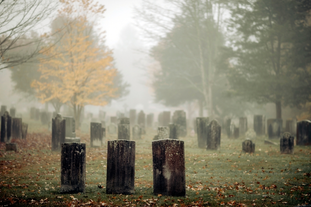 Take the Beaufort Ghost Walk This Fall / Civil War Battlefields in South Carolina